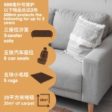 Carpet & Upholstery Protector